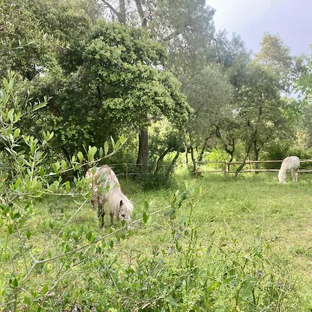 Cosy&magnifique Terrasse Et équicoaching Affittacamere