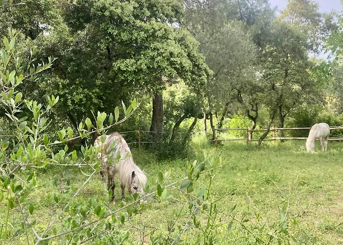Cosy & Magnifique Terrasse Et Equicoaching Casa de hóspedes